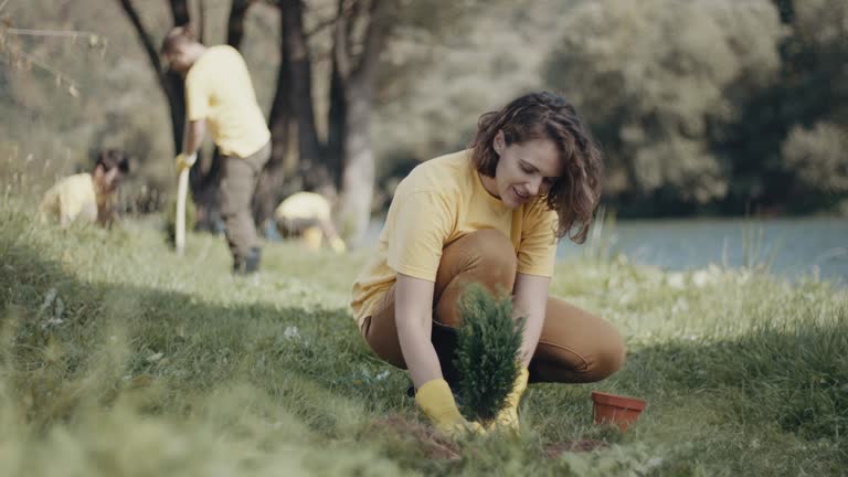 Lawn Drainage Solutions in Stem, NC